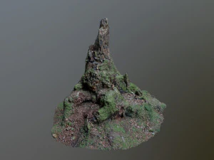 nature stump 10 3D Model
