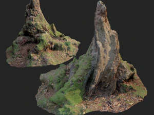 nature stump 10 3D Model