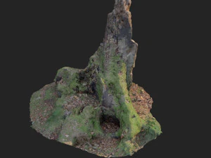 nature stump 10 3D Model