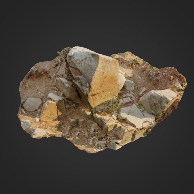 3d scanned cliff face b 3Dモデル .c4d .max .obj .3ds .fbx .stl .blend 