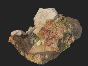 3d scanned cliff face b 3Dモデル