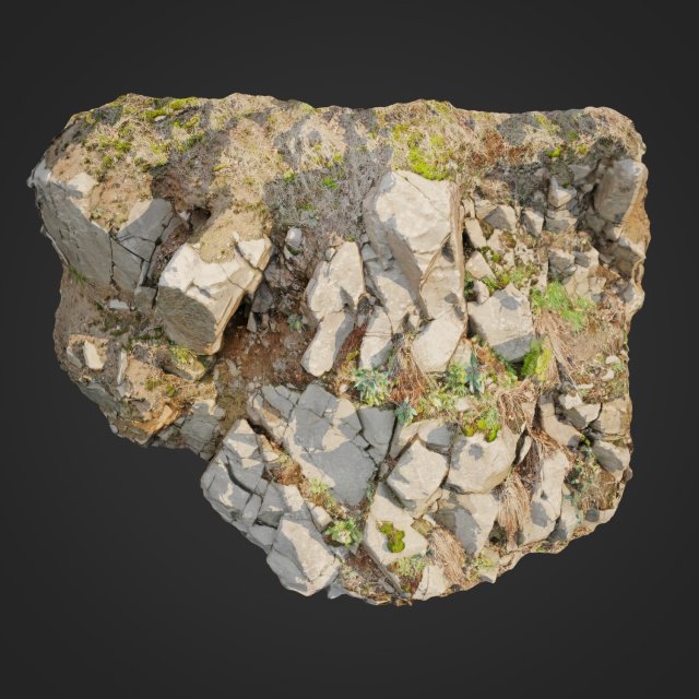 3d scanned cliff face d 3D Model .c4d .max .obj .3ds .fbx .stl .blend 