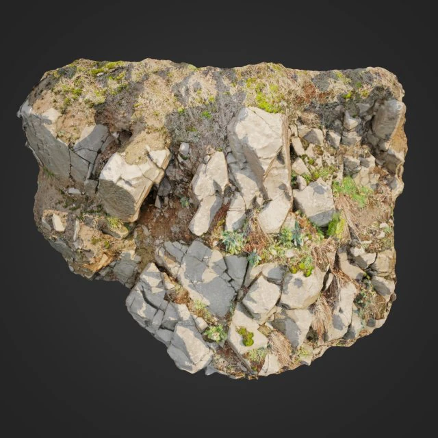 3d scanned cliff face d 3D Model .c4d .max .obj .3ds .fbx .stl .blend