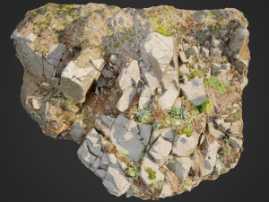 3d scanned cliff face d 3D Model