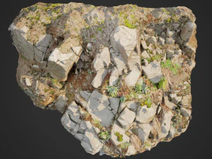 3D-gescannte Felswand d 3D Modell