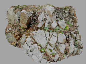 3d scanned cliff face d 3D Model