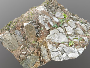 3d scanned cliff face d 3D Model