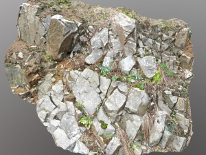 3d scanned cliff face d 3D Model