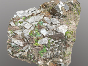3d scanned cliff face d 3D Model