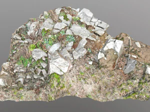 3d scanned cliff face d 3D Model