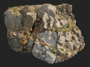 3d scanned cliff face d 3D Model