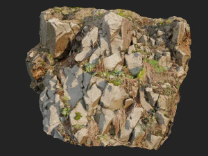 3d scanned cliff face d 3D Model