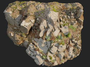 3d scanned cliff face d 3D Model