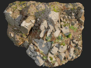 3d scanned cliff face d 3D Model