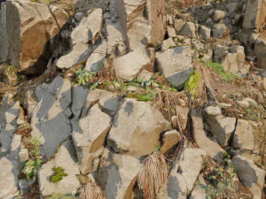 3d scanned cliff face d 3D Model