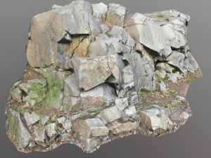 3d scanned cliff face e 3D मॉडल