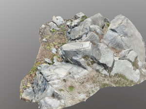 3d scanned cliff face e 3D मॉडल
