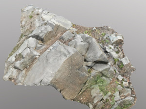 3d scanned cliff face e 3D मॉडल