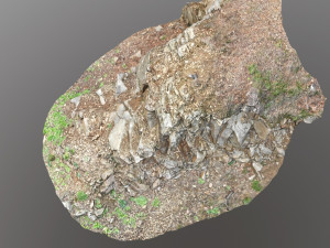 3d scanned cliff face f 3D मॉडल
