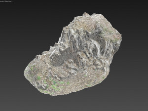 3d scanned cliff face f 3D मॉडल