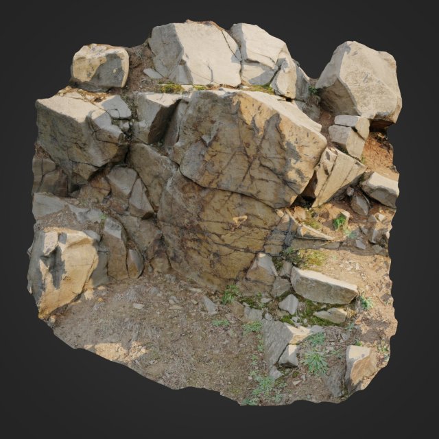 3d scanned cliff face h 3D-Modell .c4d .max .obj .3ds .fbx .stl .blend 