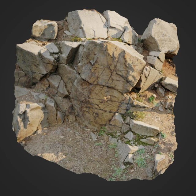 3d scanned cliff face h 3D Model .c4d .max .obj .3ds .fbx .stl .blend