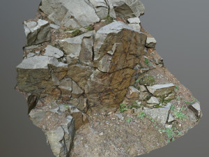 3d scanned cliff face h 3D-Modell