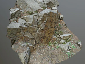 3d scanned cliff face h 3D Model