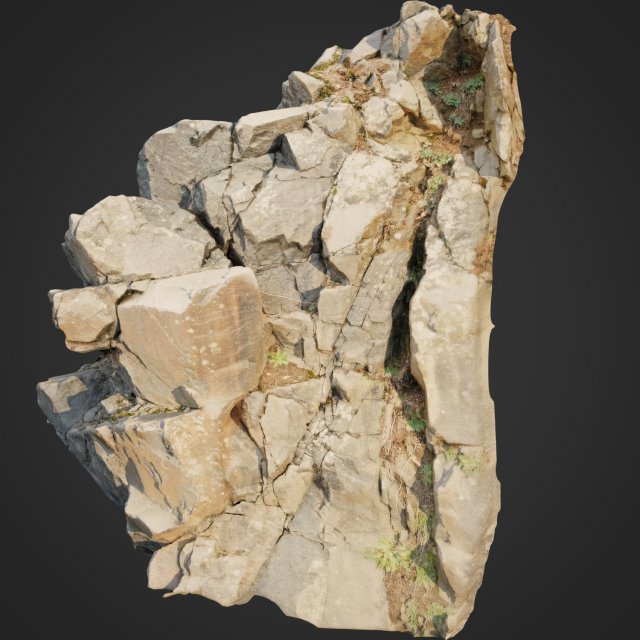 3d scanned cliff face i 3D मॉडल .c4d .max .obj .3ds .fbx .stl .blend 