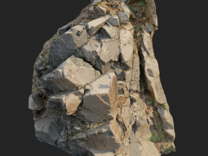 3d scanned cliff face i 3D मॉडल