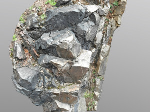 3d scanned cliff face i 3D मॉडल