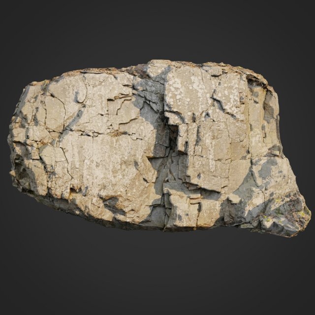 3d scanned cliff face j 3D Model .c4d .max .obj .3ds .fbx .stl .blend 