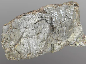 3d scanned cliff face j 3D Model