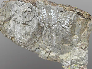 3d scanned cliff face j 3D Model