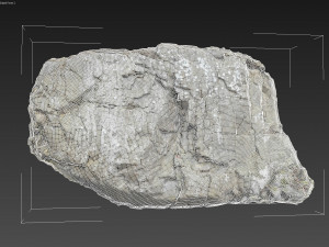 3d scanned cliff face j 3D Model
