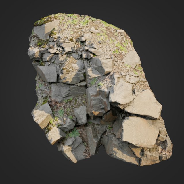 3d scanned cliff face l 3D मॉडल .c4d .max .obj .3ds .fbx .stl .blend 
