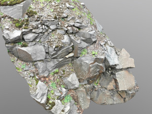 3d scanned cliff face l 3D मॉडल