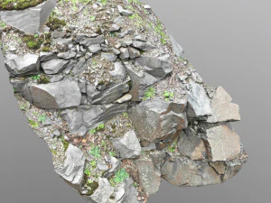 3d scanned cliff face l 3D Model