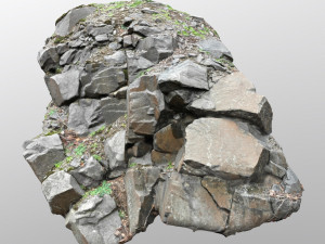 3d scanned cliff face l 3D मॉडल