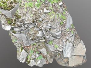 3d scanned cliff face l 3D मॉडल