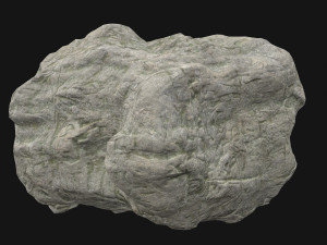 sculpt stone c 3D Model