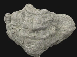 sculpt stone c 3D Model