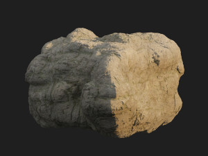 sculpt stone c 3D Model