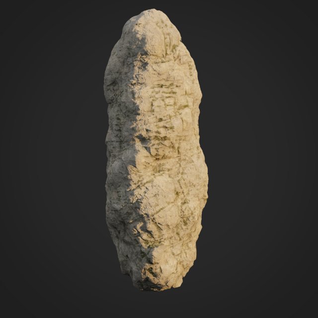 sculpt stone g 3D 模型 .c4d .max .obj .3ds .fbx .stl .blend 