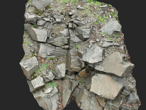3d scanned cliff face m 3Dモデル