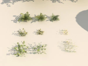 rocky forest scene a 3D Model