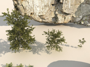 rocky forest scene a 3D 模型