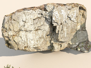 rocky forest scene a 3D 模型