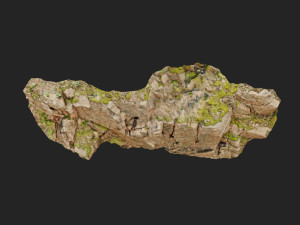 3d scanned cliff face n 3D-Modell
