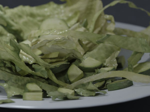 food sallad plate a 3Dモデル